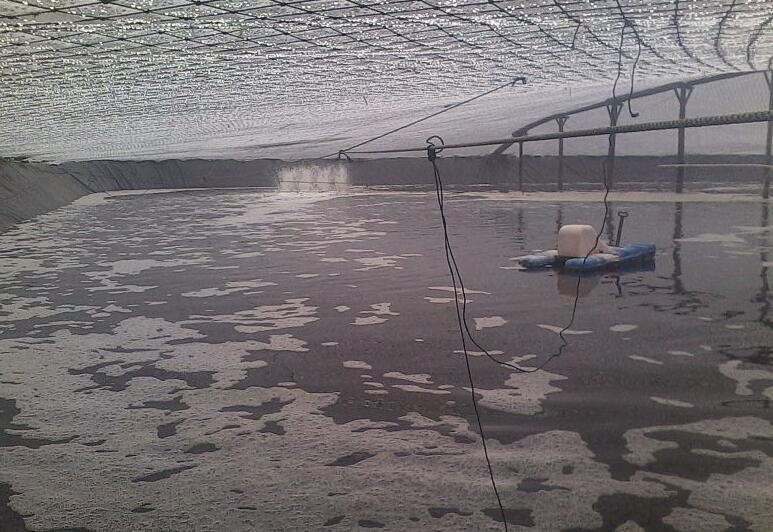 魚(yú)塘修建土工膜和混凝土哪種方法更可靠?