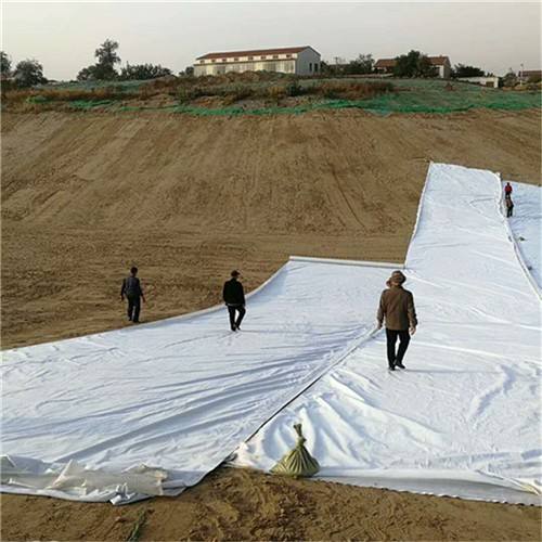 HDPE土工膜的生產制造全過程及質量管理